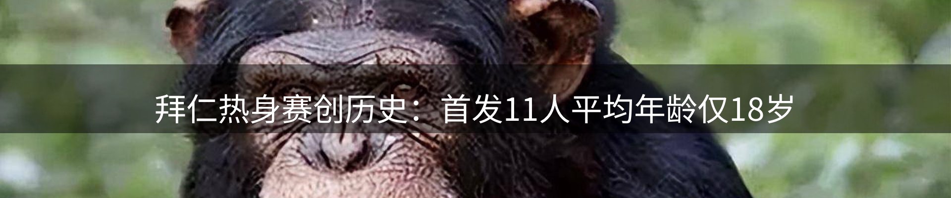 行业资讯