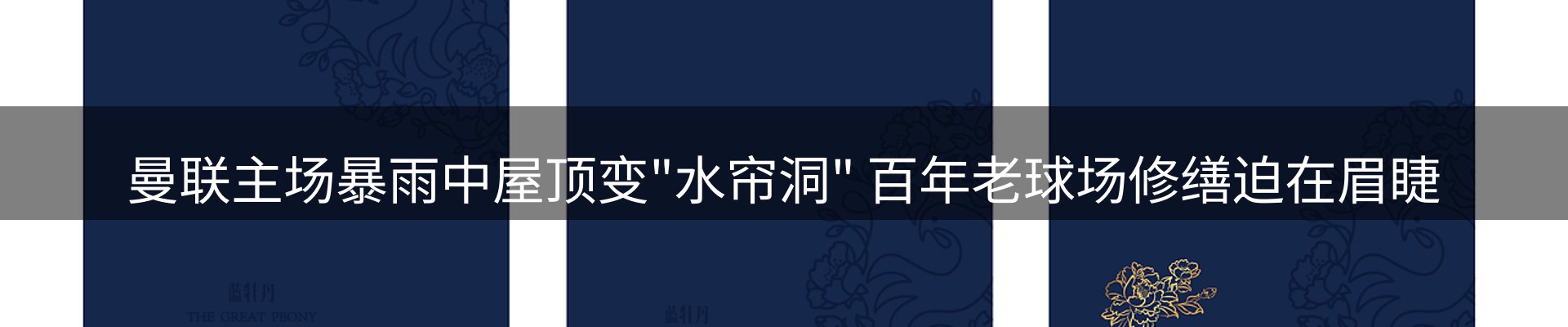 公司消息