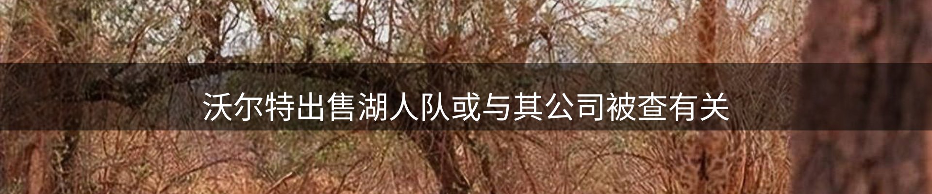 公司消息