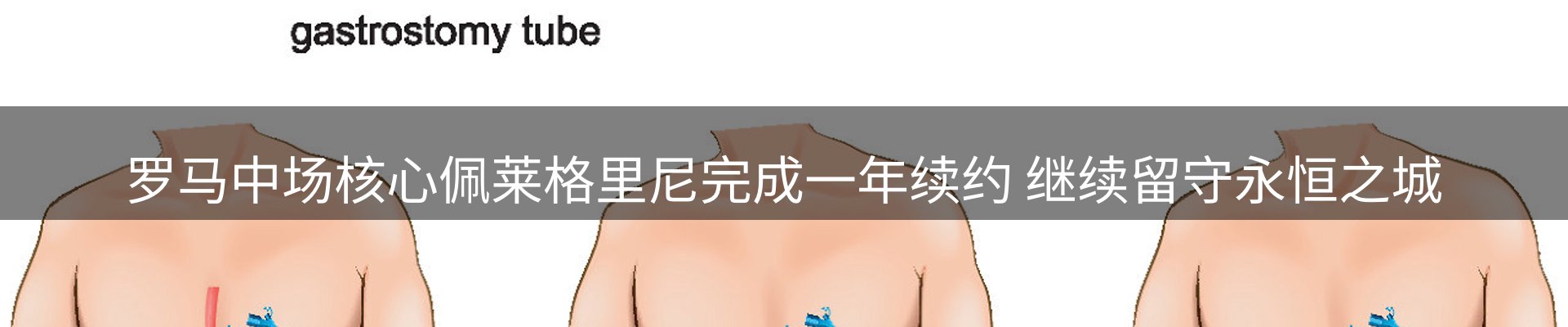 公司消息