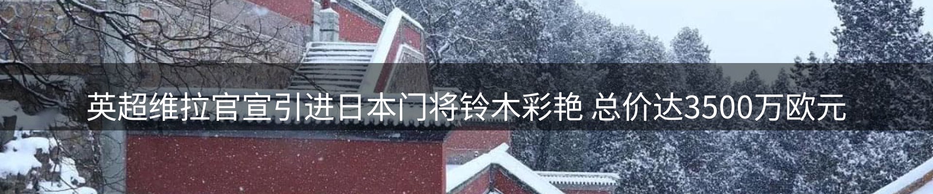公司消息