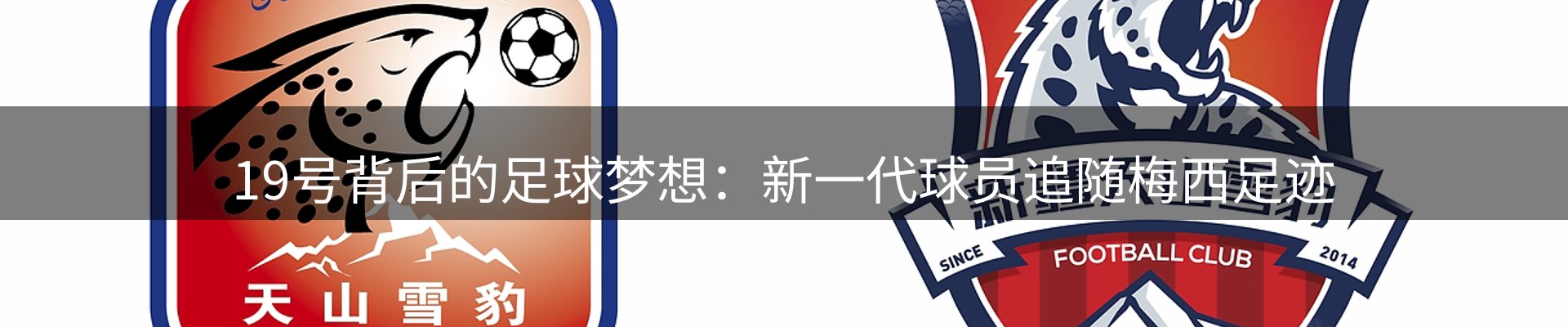 公司消息